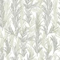 Hand drawn rosemary branches seamless pattern. Floral design in natural colors vector