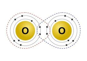 Vector illustration of the octet rule refers to the tendency of atoms to prefer to have eight electrons in the valence shell, for example the pairing of oxygen atoms on a white background.