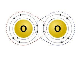 Vector illustration of the octet rule refers to the tendency of atoms to prefer to have eight electrons in the valence shell, for example the pairing of oxygen atoms on a white background.