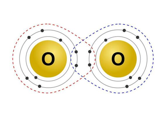 Vector illustration of the octet rule refers to the tendency of atoms to prefer to have eight electrons in the valence shell, for example the pairing of oxygen atoms on a white background.