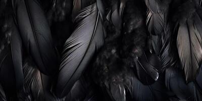 . . Photo realistic black feathers pattern background texture. Ellegant aesthetics luxury vibe. Graphic Art