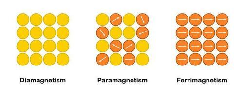 Vector illustration of types of magnetism diagram. Paramagnetism, Ferrimagnetism and Diamagnetism on white background.