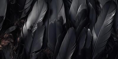 . . Photo realistic black feathers pattern background texture. Ellegant aesthetics luxury vibe. Graphic Art