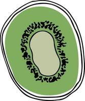 Lineart style single kiwi slice black outline on white background vector