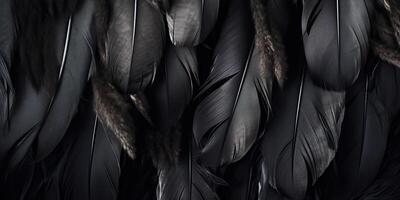 . . Photo realistic black feathers pattern background texture. Ellegant aesthetics luxury vibe. Graphic Art