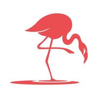 Flamingo logo icon design vector