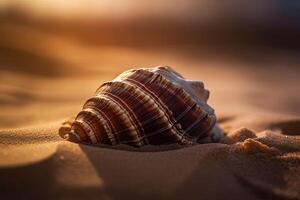 Shell on sand at beach. Summer seascape background. photo