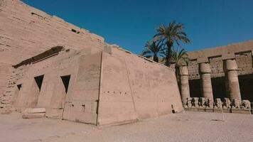 enorm Säulen im das Karnak Tempel, Ägypten video