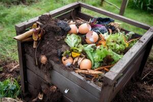 Compost bin with food scraps and grass cuttings. photo