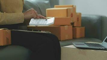 geschäftsfrau gründet kleinen unternehmer sme erfolg. freiberufliche frau, die zu hause mit online-paketzustellung arbeitet. Lieferkonzept für KMU und Verpackungen video