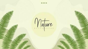 Natural Background with a Combination of Sword Fern Leaves, Minimalist with a Combination of Lines and Leaf Curves. Minimalist Background. vector