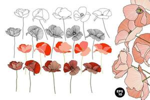 Vector drawn poppies flowers set. Various style linear and fill botanical elements. Design for cards, backgrounds, patterns.