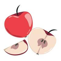 A red apple whole and cut into halves vector