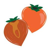 Persimmon whole and cut into halves vector