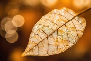 cerca arriba blanco esqueletizado hoja en dorado antecedentes con redondo Bokeh. generativo ai foto