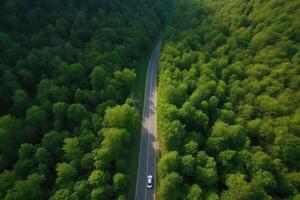 Aerial view road and forest. Road going through forest with car view from above. photo