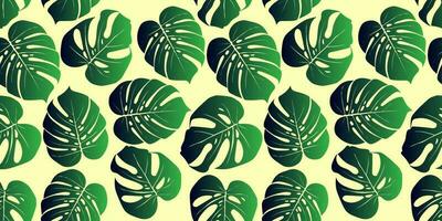 Tropical background with monstera leaves. Seamless floral exotic hawaiian pattern. Jungle  palm wallpaper. vector