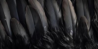 . . Photo realistic black feathers pattern background texture. Ellegant aesthetics luxury vibe. Graphic Art