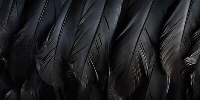 Premium Photo  Close up view of black feathers of a bird texture and  background