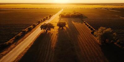 . . Photo realistic illustration of wild countryside landscape texas in america. Farmer adventure wild lifestyle vibe. Graphic Art