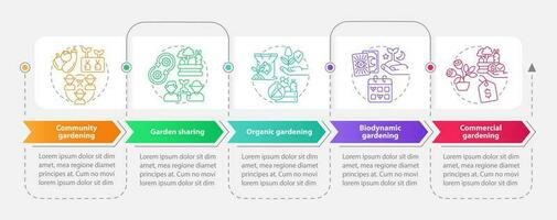 Types of gardening rectangle infographic template. Horticulture. Data visualization with 5 steps. Editable timeline info chart. Workflow layout with line icons vector