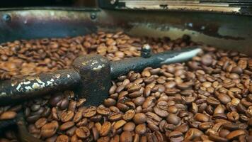 färsk aromatisk kaffe bönor i rostning maskin video
