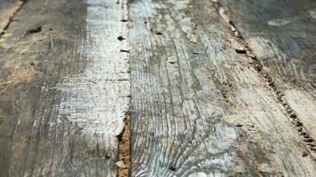 Applying glue with a spatula to the wooden floor gaps on the floor video