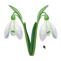 floco de neve ícone png clipart livre