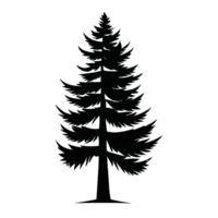 Pine Tree without background for free png