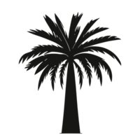 Date palm tree black and white without background for free png