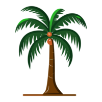 dibujo Coco árbol png clipart transparente antecedentes gratis