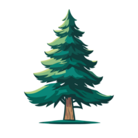 pino árbol png clipart transparente antecedentes gratis