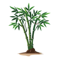 Bamboo Tree clipart transparent background free png