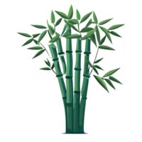 Bamboo Tree png clipart transparent background free