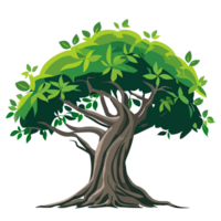 semplice banyan albero png clipart trasparente sfondo gratuito