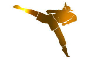 icon Nusantara warrior  jump doing turning kick png