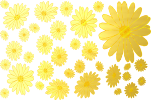 margarita flores en dorado color png