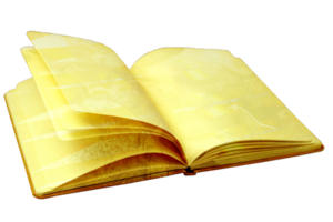 libro para escritura png