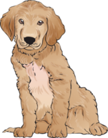 dogs puppy portrait watercolor realistic png illustration