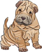 honden puppy portret waterverf realistisch PNG illustratie