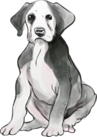 honden puppy portret waterverf realistisch PNG illustratie