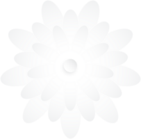 Flower, Element of floral paper cut. Paper cut of flower shape and spring symbol. png