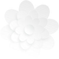 Blume, Element von Blumen- Papier schneiden. Papier Schnitt von Blume gestalten und Frühling Symbol. png