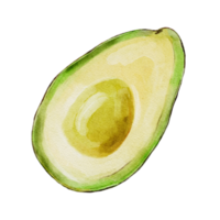 acuarela botánico clipart con aguacate png