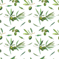 Watercolor botanical seamless pattern with olives branches png