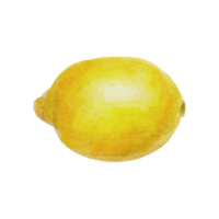 acuarela comida clipart con limón png