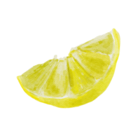 acuarela comida clipart con limón png