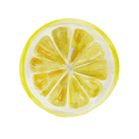 aguarela Comida clipart com limão png