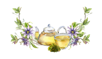 composición de vaso tetera y taza, pasión flor, vástago acuarela ilustración. herbario té, salud beber, hojas, flor mano dibujado. diseño para envase, menú, embalaje, bandera. png