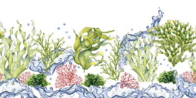 senza soluzione di continuità tavola di verde mare impianti acquerello illustrazione. acqua spruzzata, mare insalata, ulva, fuco mano disegnato. design elemento per pacchetto, pubblicità, avvolgere, marino collezione. png